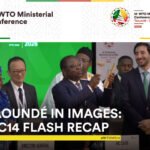 MC14 Uncovered US Heavy Hand on the WTO; Creating Nations Want Every Different — International Points