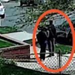 Decide releases man accused of slashing neighbors after canine urinated on his garden in Queens