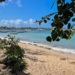 Large hearth destroys resort in Dominican Republic – NBC New York