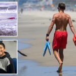 Heroic lifeguard factors strategy to essential change in California