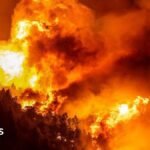 Dozens injured and hundreds evacuated in Croatia wildfire
