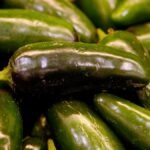 Salmonella outbreak linked to jalapeños expands to 27 states – NBC New York